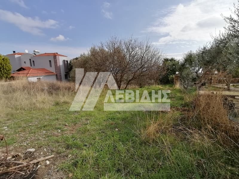 Οικόπεδο στην Πόλη Χίου, Χίος — Φωτογραφία 1 από 4