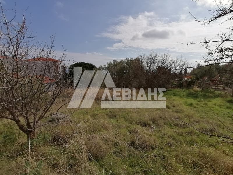 Οικόπεδο στην Πόλη Χίου, Χίος — Φωτογραφία 2 από 4