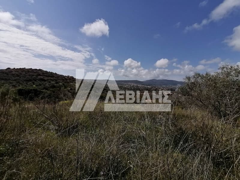Οικόπεδο στην Άγιος Μηνάς, Χίος — Φωτογραφία 2 από 4
