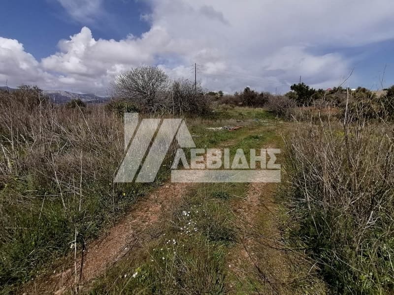 Οικόπεδο στην Άγιος Μηνάς, Χίος — Φωτογραφία 3 από 4