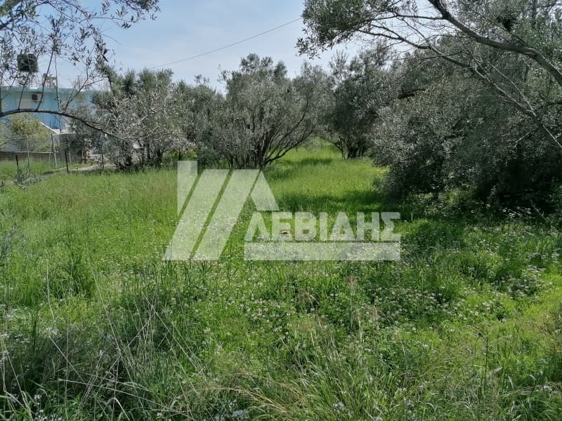 Οικόπεδο στην Πόλη Χίου, Χίος — Φωτογραφία 2 από 3