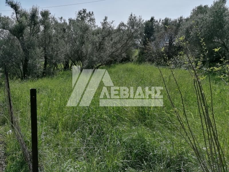 Οικόπεδο στην Πόλη Χίου, Χίος — Φωτογραφία 3 από 3