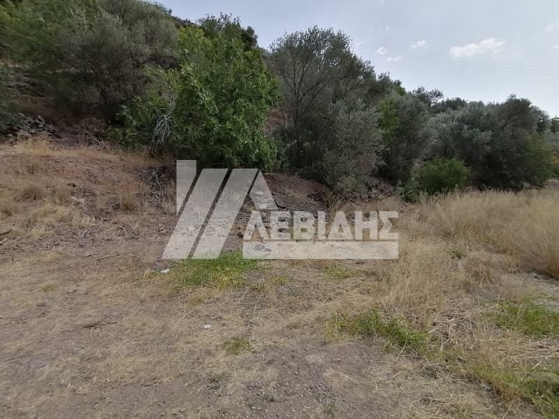 Οικόπεδο στην Πόλη Χίου, Χίος — Φωτογραφία 1 από 3