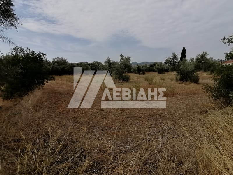 Οικόπεδο στην Άγιος Μηνάς, Χίος — Φωτογραφία 3 από 6