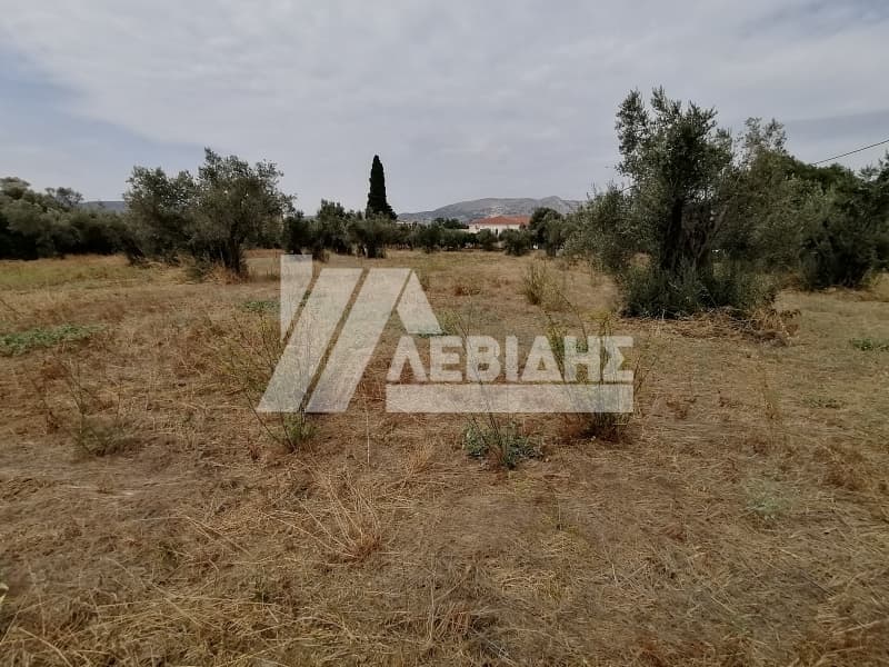 Οικόπεδο στην Άγιος Μηνάς, Χίος — Φωτογραφία 1 από 6