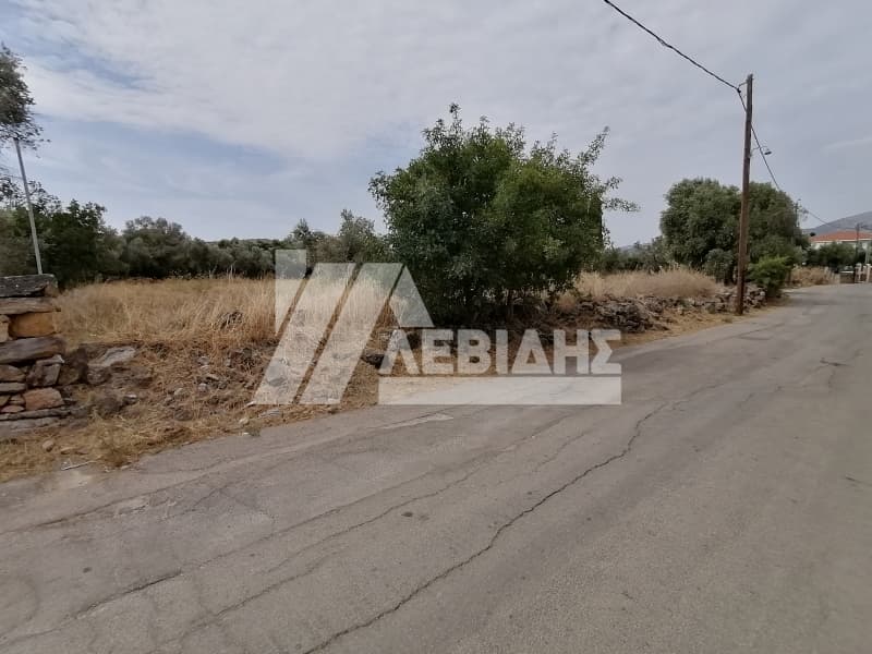 Οικόπεδο στην Άγιος Μηνάς, Χίος — Φωτογραφία 5 από 6