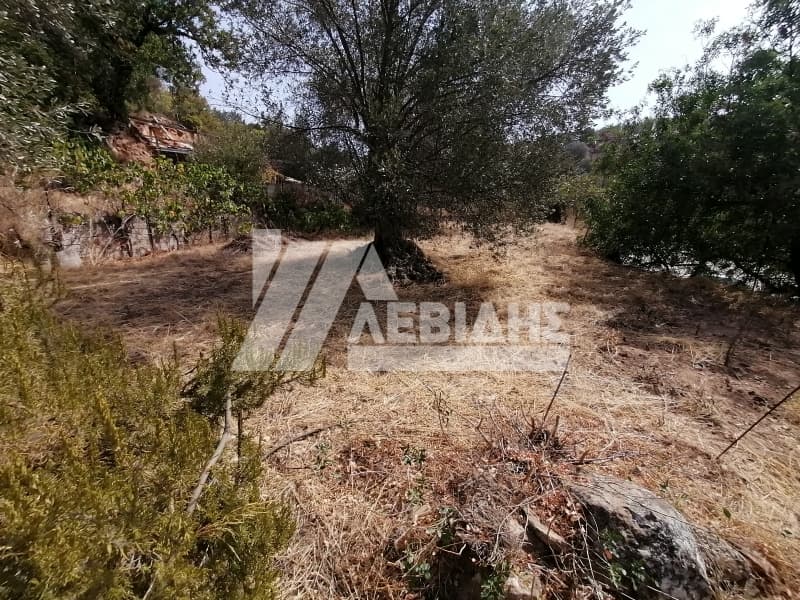 Οικόπεδο στην Άγιος Μηνάς, Χίος — Φωτογραφία 4 από 4