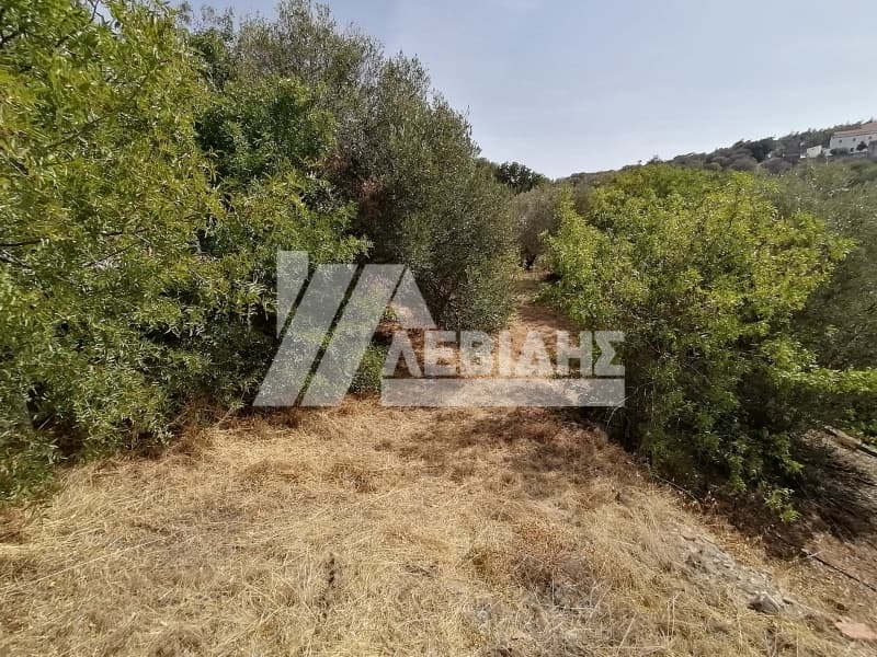 Οικόπεδο στην Άγιος Μηνάς, Χίος — Φωτογραφία 2 από 4