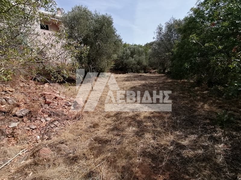 Οικόπεδο στην Άγιος Μηνάς, Χίος — Φωτογραφία 3 από 4