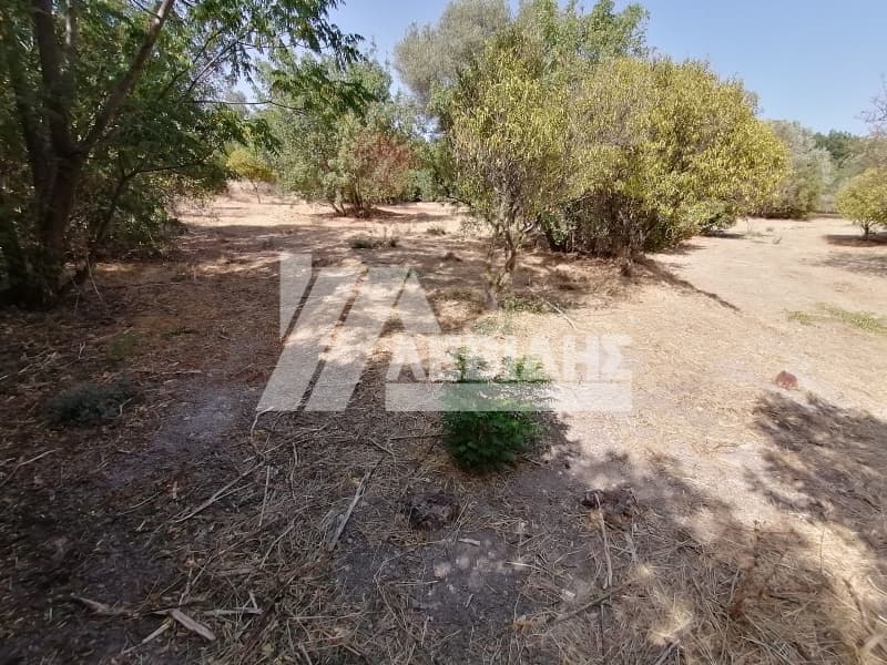 Οικόπεδο στην Πόλη Χίου, Χίος — Φωτογραφία 2 από 3
