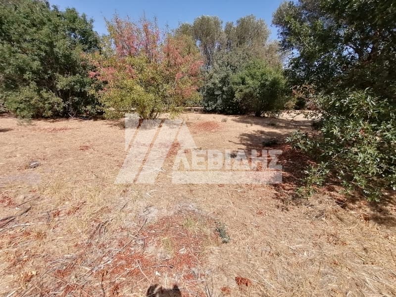 Οικόπεδο στην Πόλη Χίου, Χίος — Φωτογραφία 3 από 3