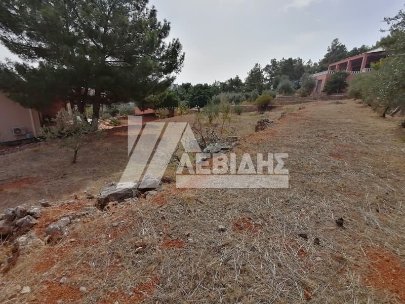 Οικόπεδο στην Άγιος Μηνάς, Χίος — Φωτογραφία 5 από 6