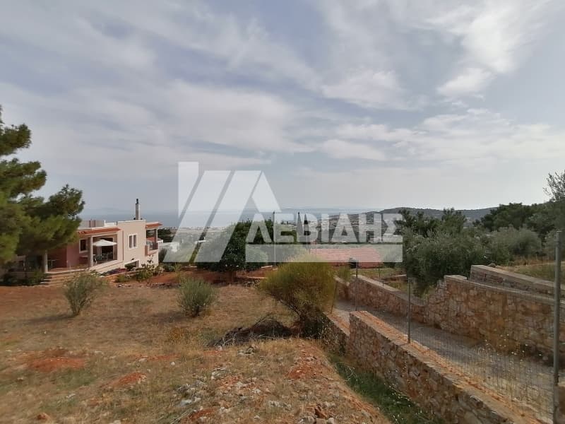 Οικόπεδο στην Άγιος Μηνάς, Χίος — Φωτογραφία 3 από 6