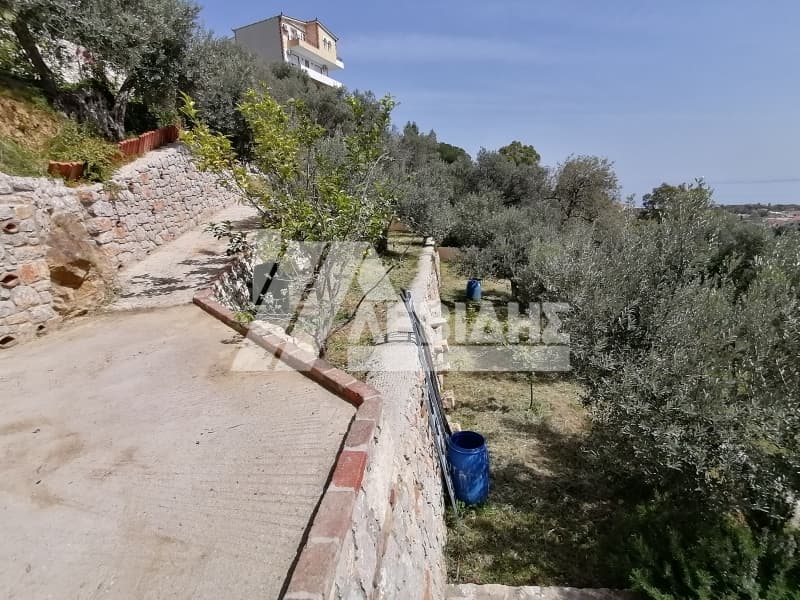 Οικόπεδο στην Πόλη Χίου, Χίος — Φωτογραφία 4 από 11