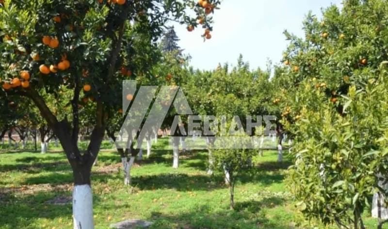 Μονοκατοικία στην Άγιος Μηνάς, Χίος — Φωτογραφία 12 από 12