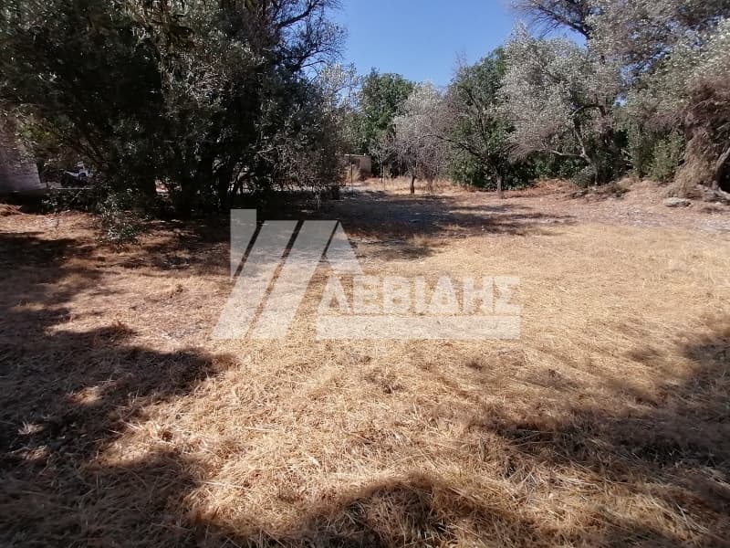 Οικόπεδο στην Πόλη Χίου, Χίος — Φωτογραφία 1 από 4