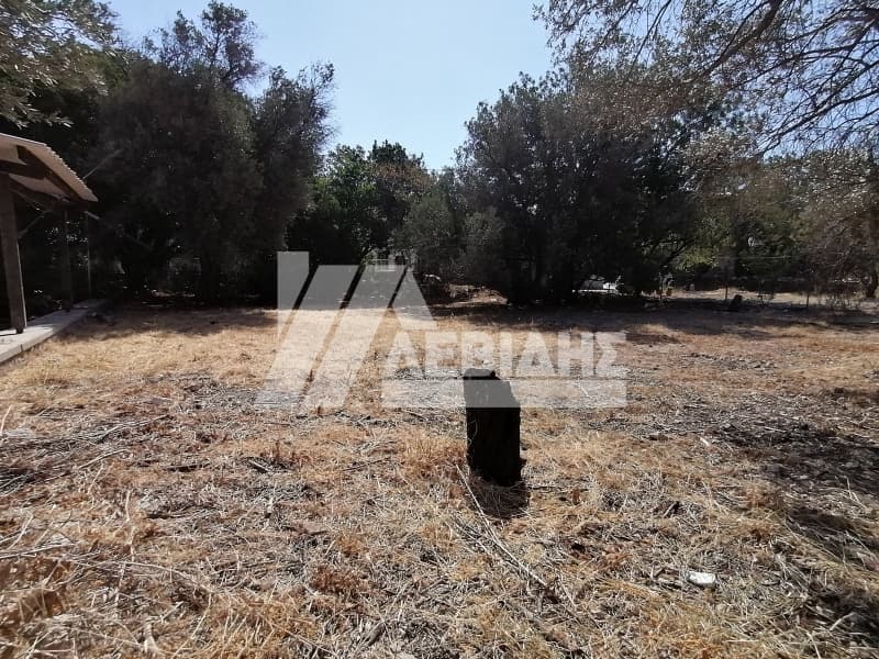 Οικόπεδο στην Πόλη Χίου, Χίος — Φωτογραφία 2 από 4