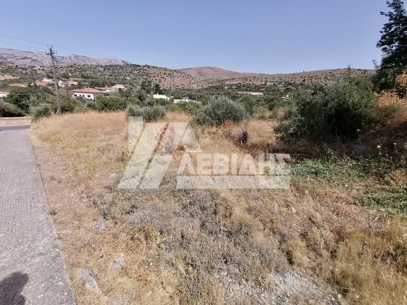 Οικόπεδο στην Καμποχώρια, Χίος — Φωτογραφία 4 από 7