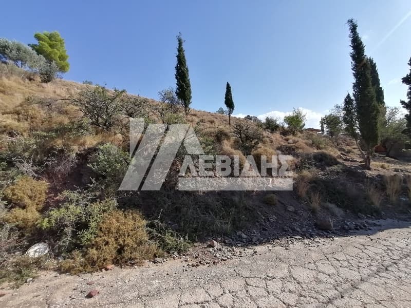 Οικόπεδο στην Πόλη Χίου, Χίος — Φωτογραφία 4 από 6