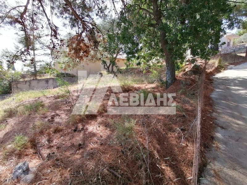 Οικόπεδο στην Πόλη Χίου, Χίος — Φωτογραφία 4 από 5
