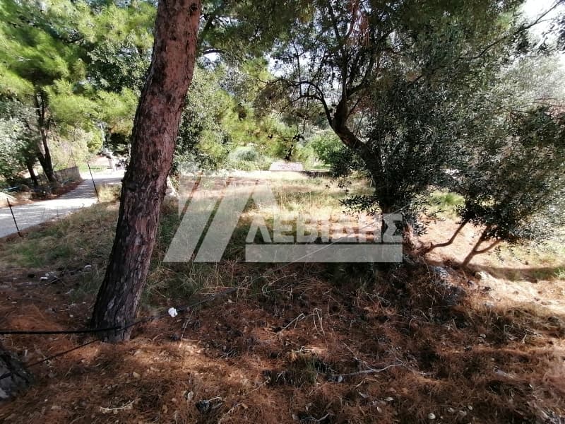 Οικόπεδο στην Πόλη Χίου, Χίος — Φωτογραφία 3 από 5