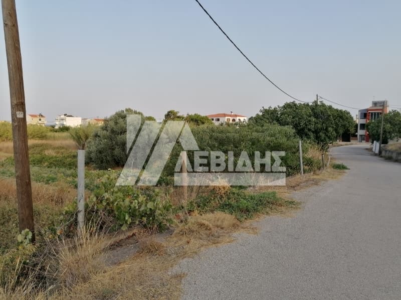 Οικόπεδο στην Ιωνία, Χίος — Φωτογραφία 2 από 3