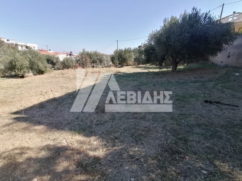 Οικόπεδο στην Πόλη Χίου, Χίος — Φωτογραφία 5 από 5