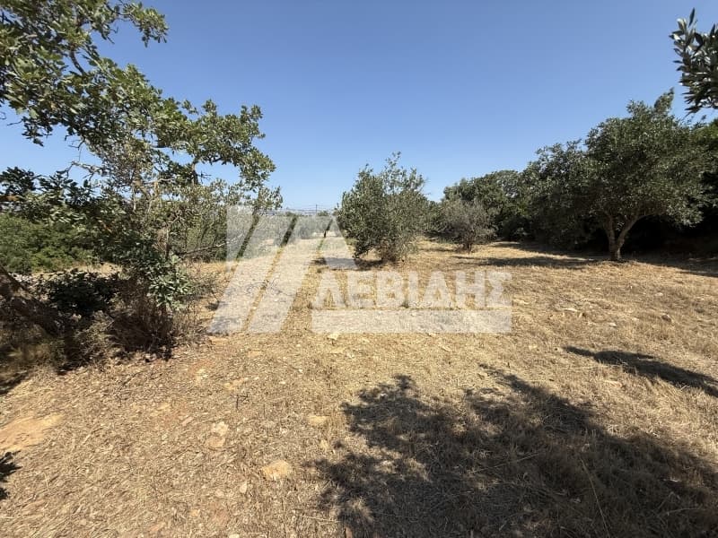 Οικόπεδο στην Άγιος Μηνάς, Χίος — Φωτογραφία 3 από 7