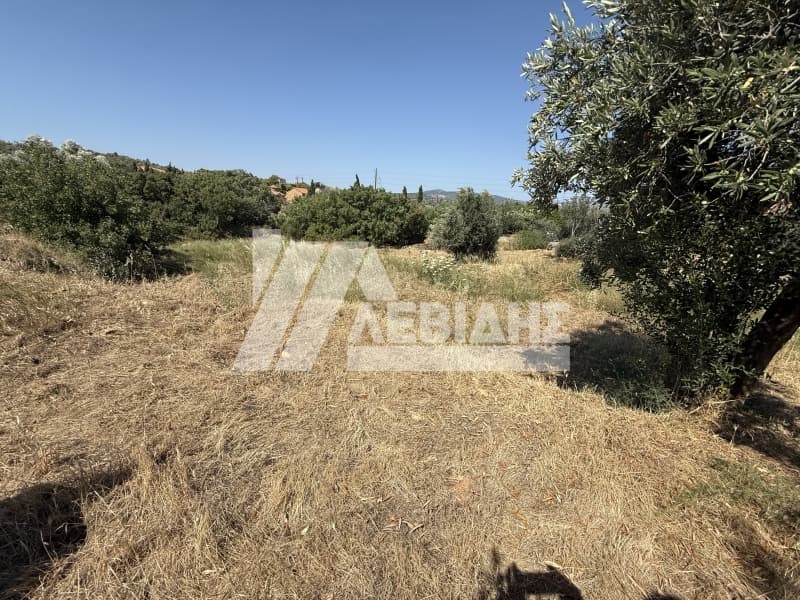 Οικόπεδο στην Άγιος Μηνάς, Χίος — Φωτογραφία 4 από 7
