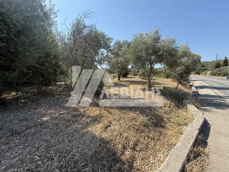 Οικόπεδο στην Άγιος Μηνάς, Χίος — Φωτογραφία 5 από 7