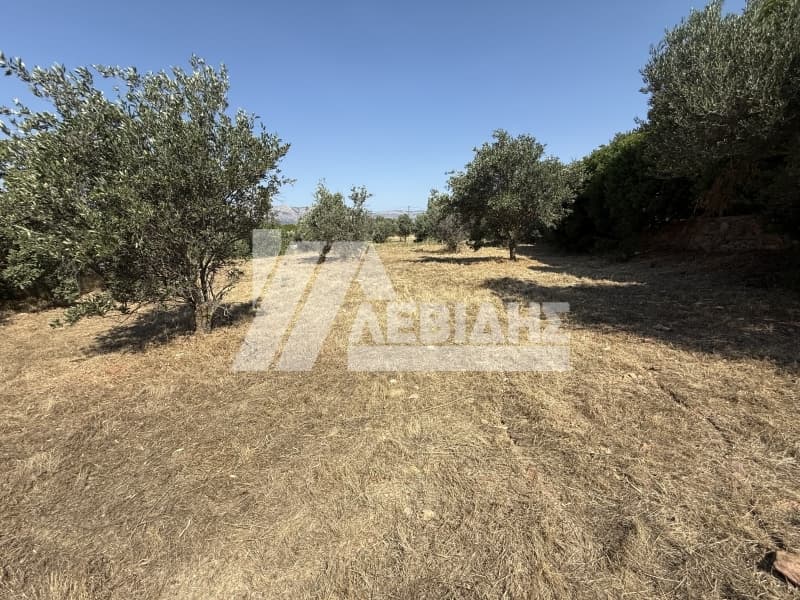 Οικόπεδο στην Άγιος Μηνάς, Χίος — Φωτογραφία 2 από 7