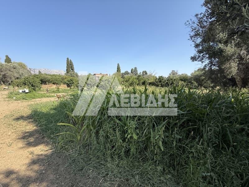 Μονοκατοικία στην Άγιος Μηνάς, Χίος — Φωτογραφία 20 από 21