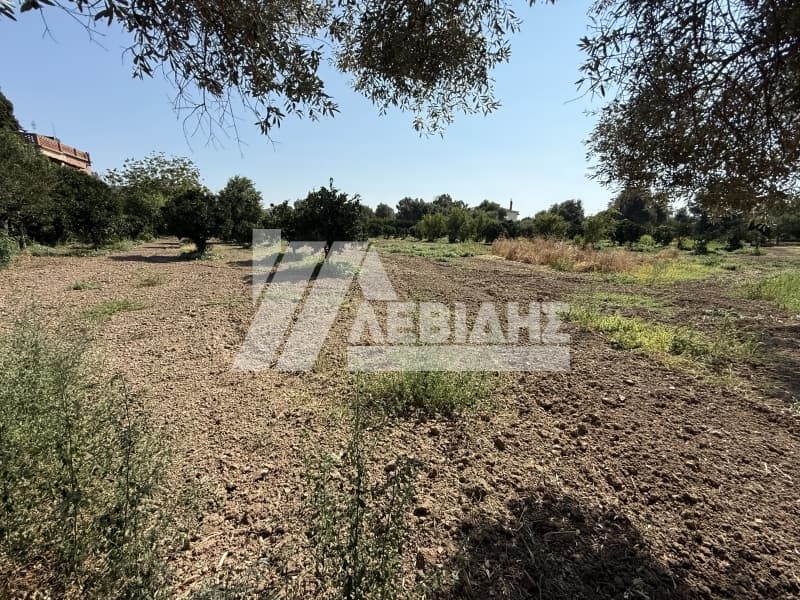 Οικόπεδο στην Άγιος Μηνάς, Χίος — Φωτογραφία 6 από 21