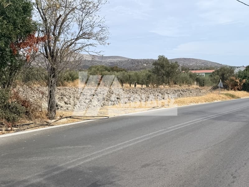 Οικόπεδο στην Καμποχώρια, Χίος — Φωτογραφία 3 από 6