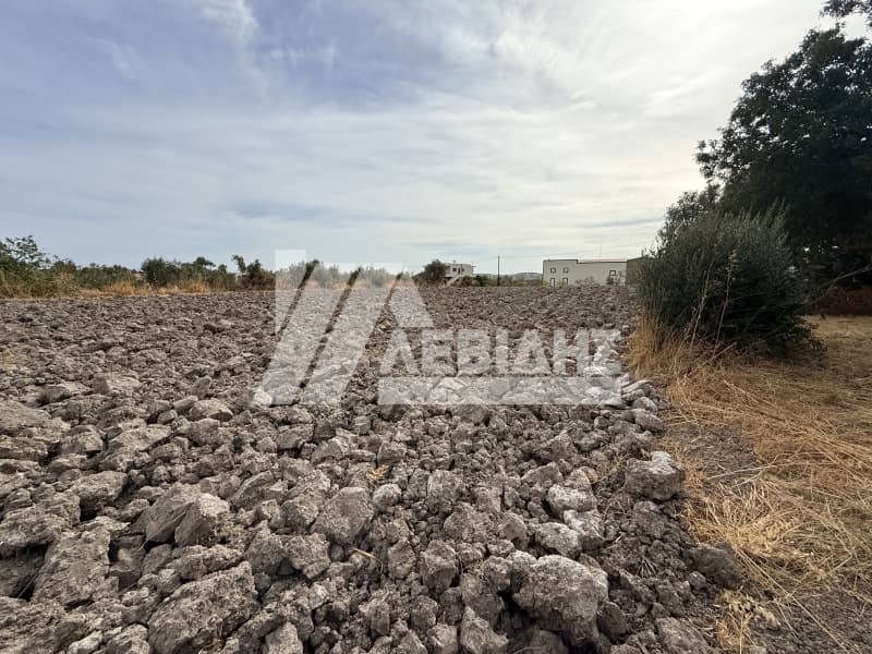 Οικόπεδο στην Καμποχώρια, Χίος — Φωτογραφία 6 από 6
