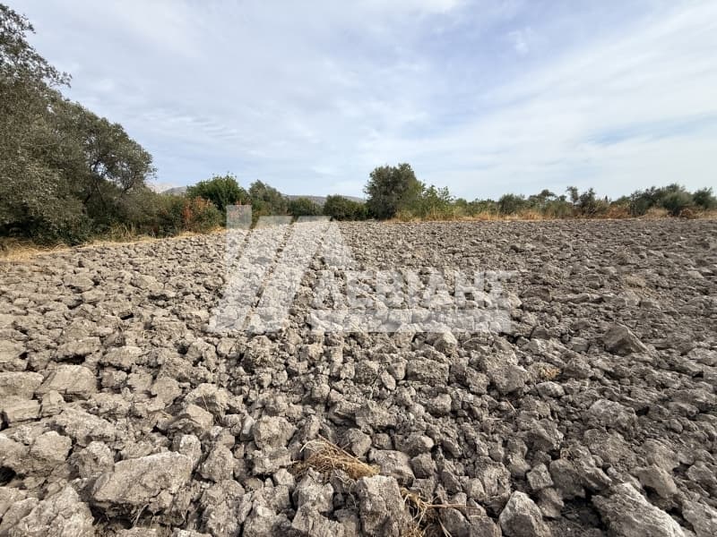 Οικόπεδο στην Καμποχώρια, Χίος — Φωτογραφία 4 από 6