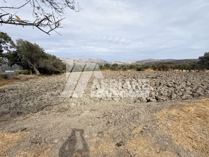 Οικόπεδο στην Καμποχώρια, Χίος — Φωτογραφία 5 από 6