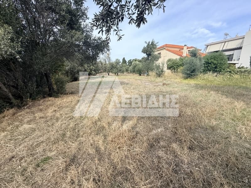 Οικόπεδο στην Πόλη Χίου, Χίος — Φωτογραφία 2 από 5