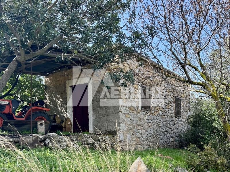 Αγροτεμάχιο στην Μαστιχοχώρια, Χίος — Φωτογραφία 3 από 3