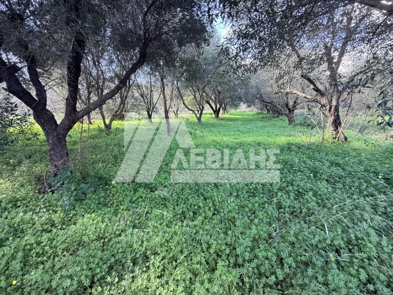 Οικόπεδο στην Άγιος Μηνάς, Χίος — Φωτογραφία 2 από 3