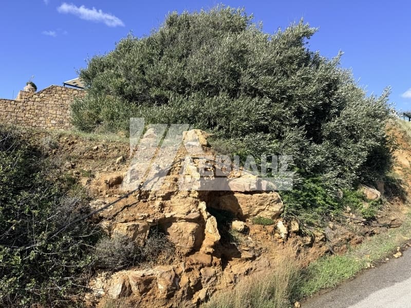 Οικόπεδο στην Άγιος Μηνάς, Χίος — Φωτογραφία 6 από 9