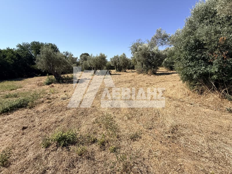 Οικόπεδο στην Άγιος Μηνάς, Χίος — Φωτογραφία 2 από 5