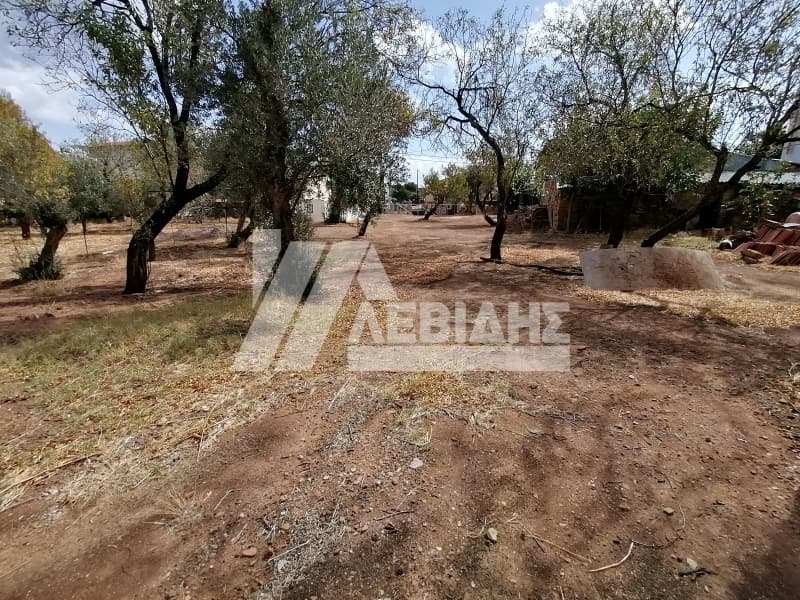 Building Plot in Chios town, Chios — Photo 4 of 4