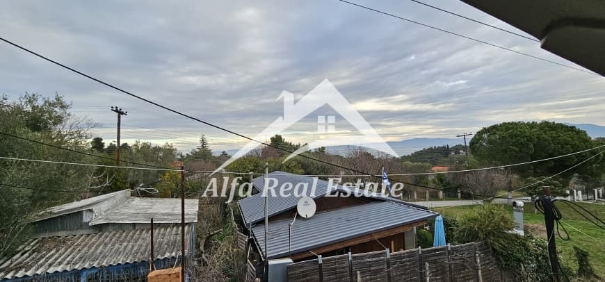 Μονοκατοικία στην Νέοι Επιβάτες, Νέοι Επιβάτες — Φωτογραφία 14 από 16