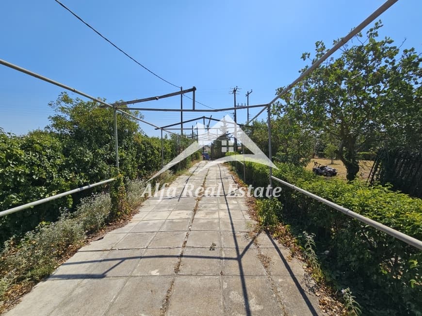 Μονοκατοικία στην Νέοι Επιβάτες, Νέοι Επιβάτες — Φωτογραφία 6 από 12