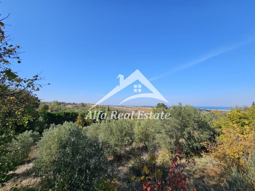 Μονοκατοικία στην Πλαγιάρι, Μίκρα — Φωτογραφία 22 από 30