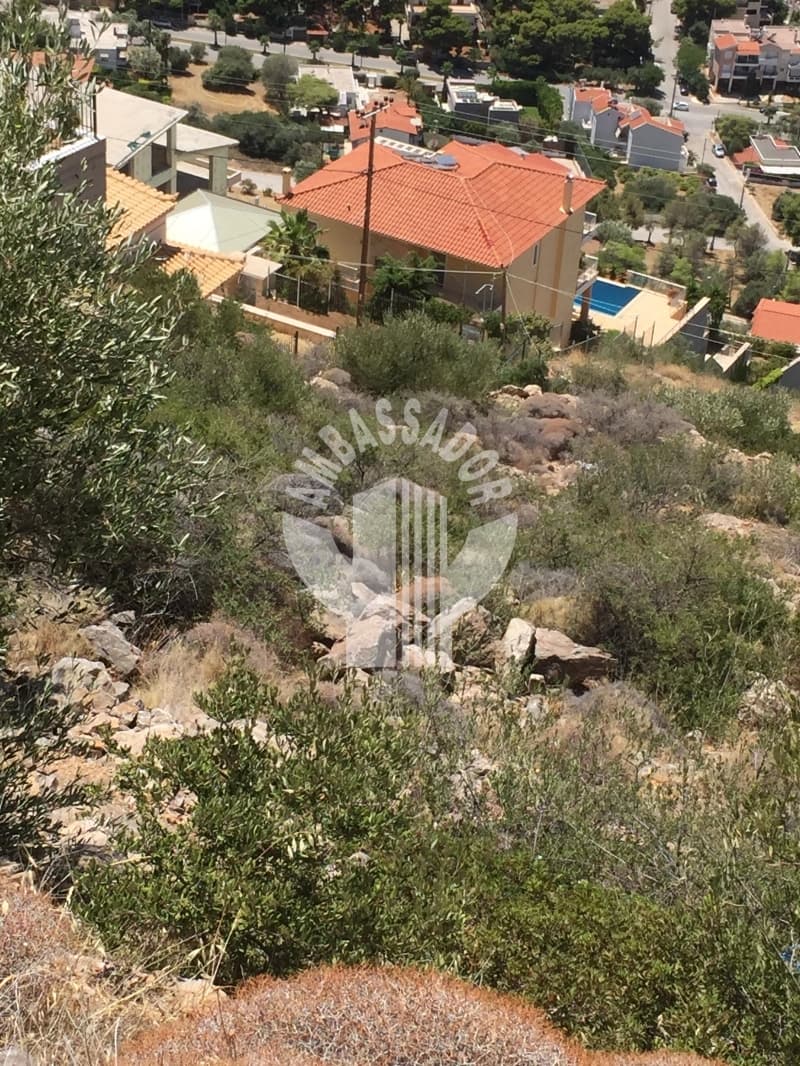 Οικόπεδο στην Σαρωνίδα, Σαρωνίδα — Φωτογραφία 11 από 21