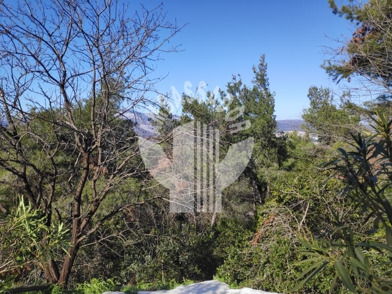 Οικόπεδο στην Κεφαλάρι, Κηφισιά — Φωτογραφία 7 από 8