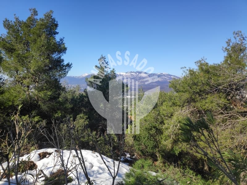 Οικόπεδο στην Κεφαλάρι, Κηφισιά — Φωτογραφία 6 από 8