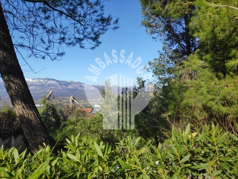 Οικόπεδο στην Κεφαλάρι, Κηφισιά — Φωτογραφία 1 από 8